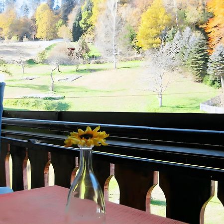 Haus Muehlgrund Apartment Bad Wildbad Luaran gambar
