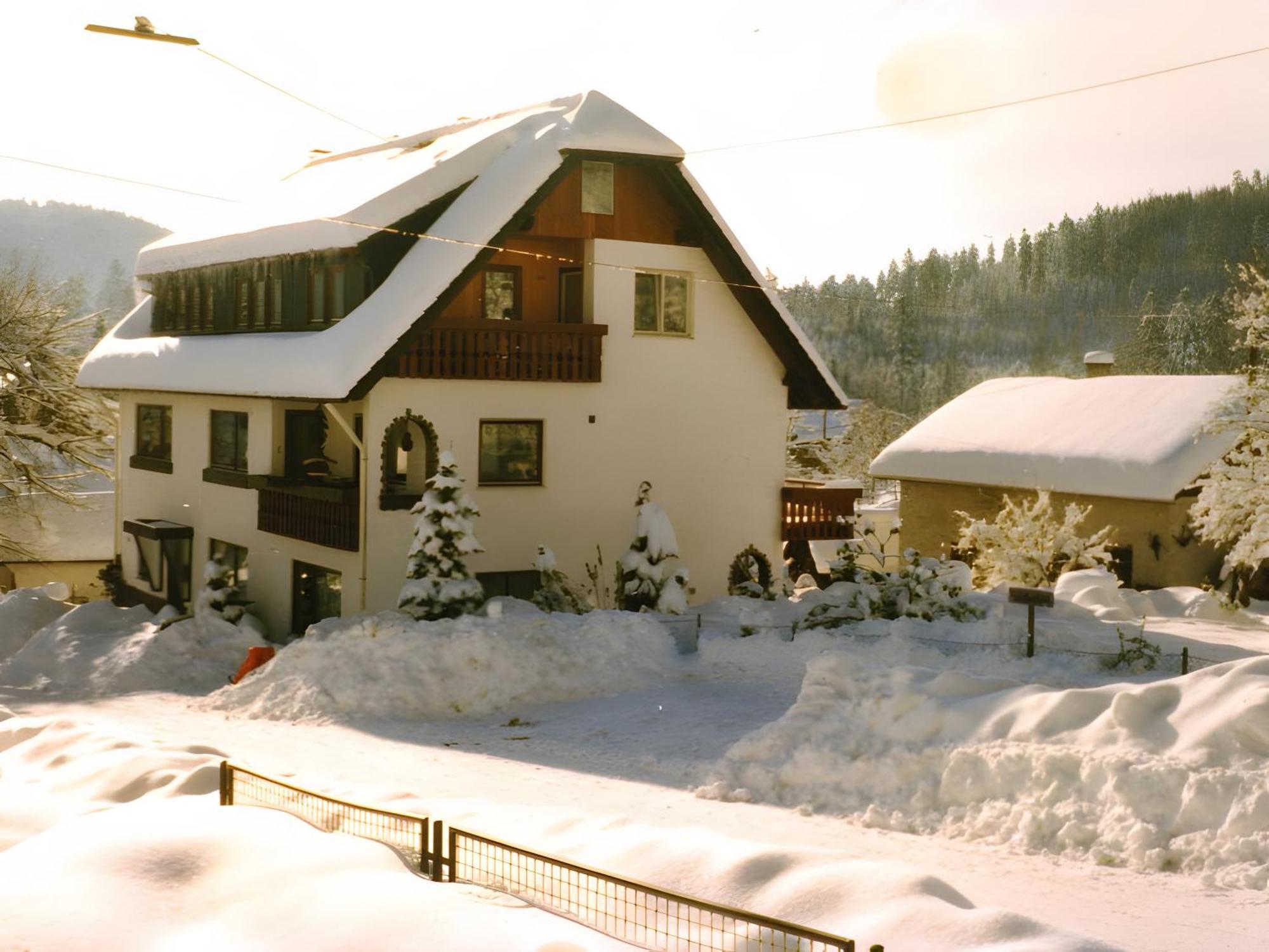 Haus Muehlgrund Apartment Bad Wildbad Luaran gambar