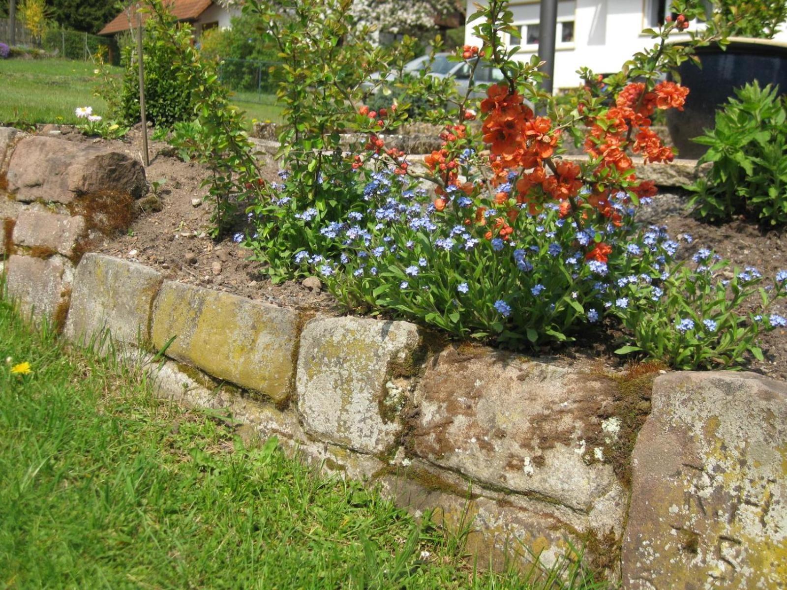Haus Muehlgrund Apartment Bad Wildbad Luaran gambar
