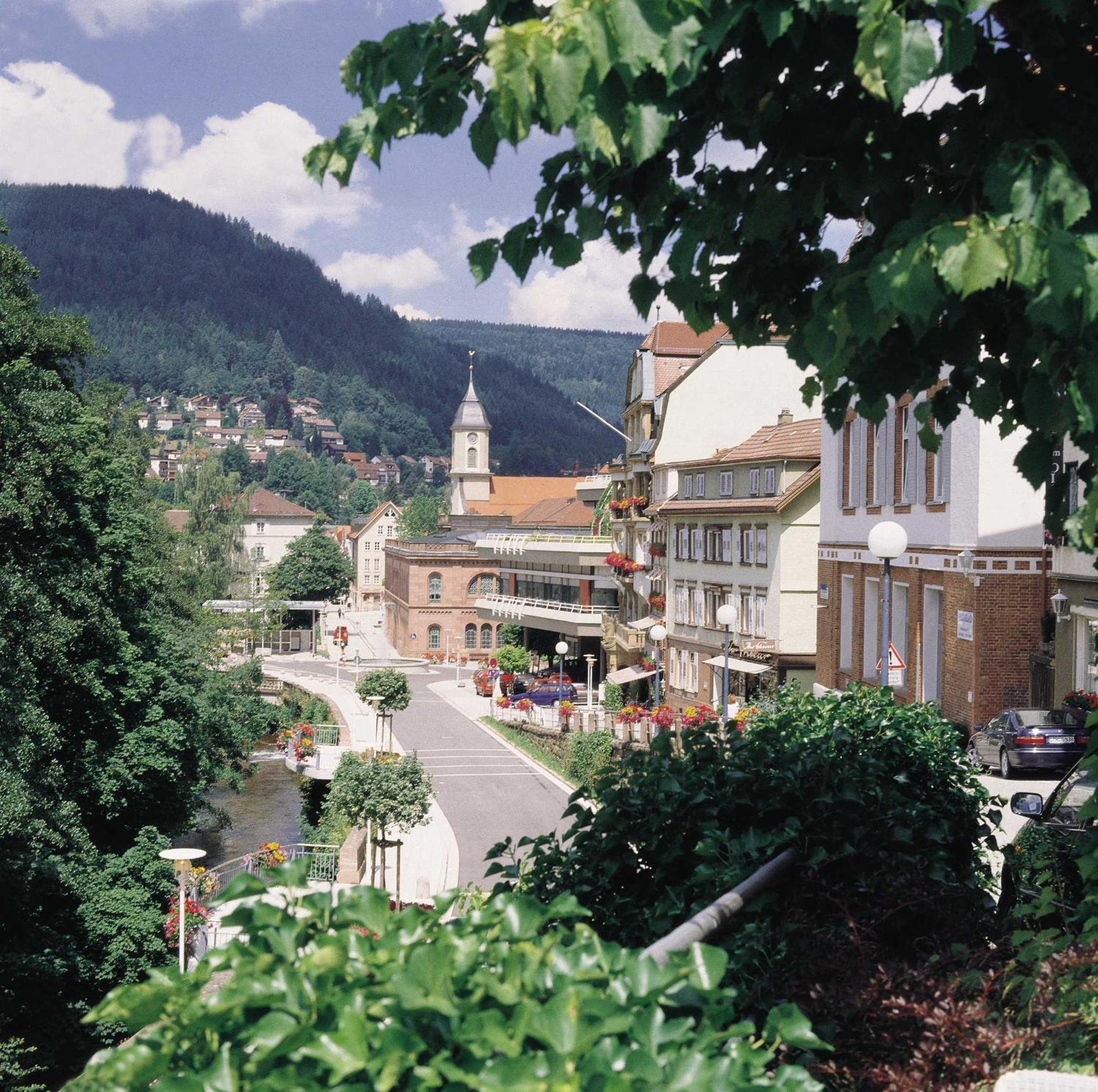 Haus Muehlgrund Apartment Bad Wildbad Luaran gambar